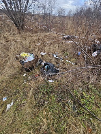 site before cleanup website
